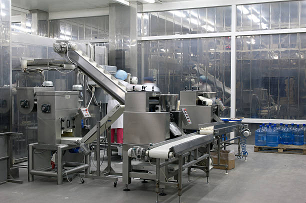 Automated production line in modern food factory. Ravioli production. People working.